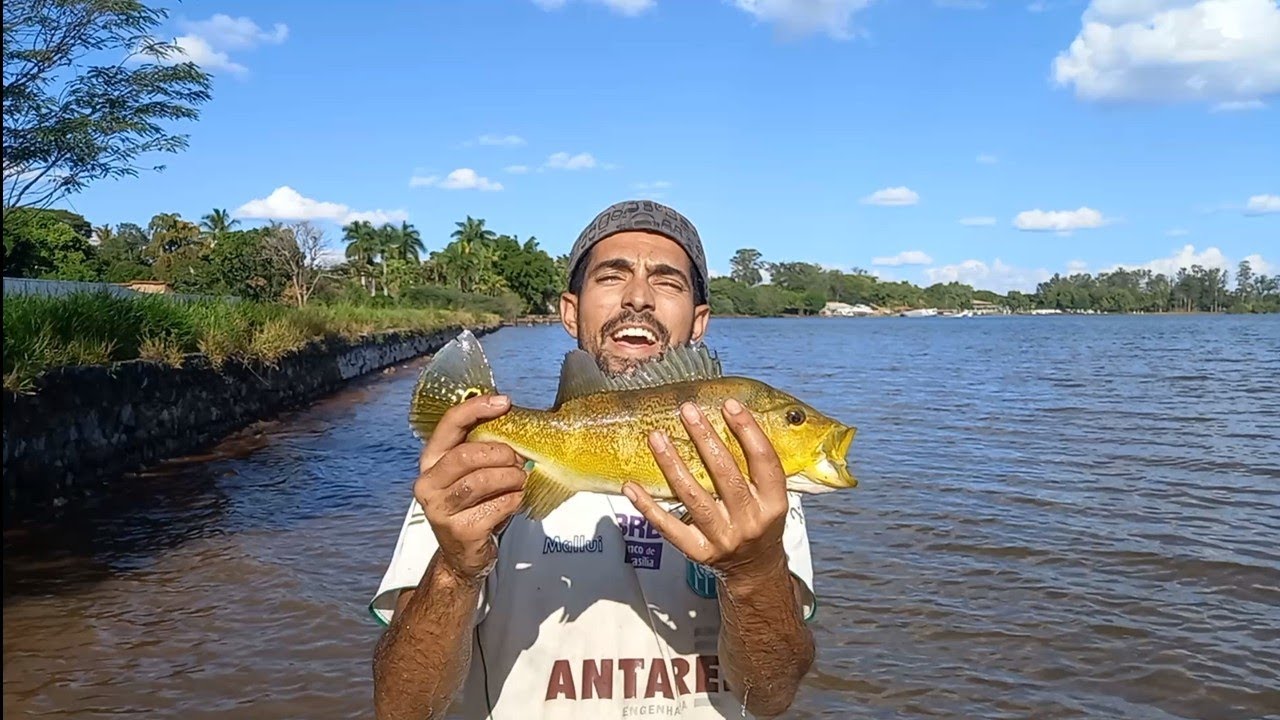 PESCANDO COM CAMARÃO NO LAGO PARANOÁ, veja os peixes que saíram! pescaria!!!