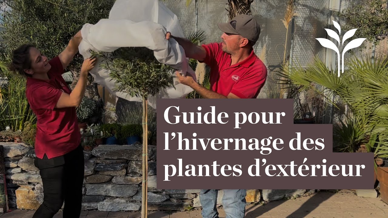 Guide pour l'hivernage des plantes d'ext&eacute;rieur