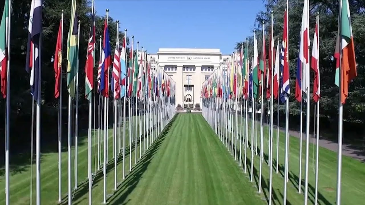 A Shared Future, A Better World: Chinese Solution Benefiting the World