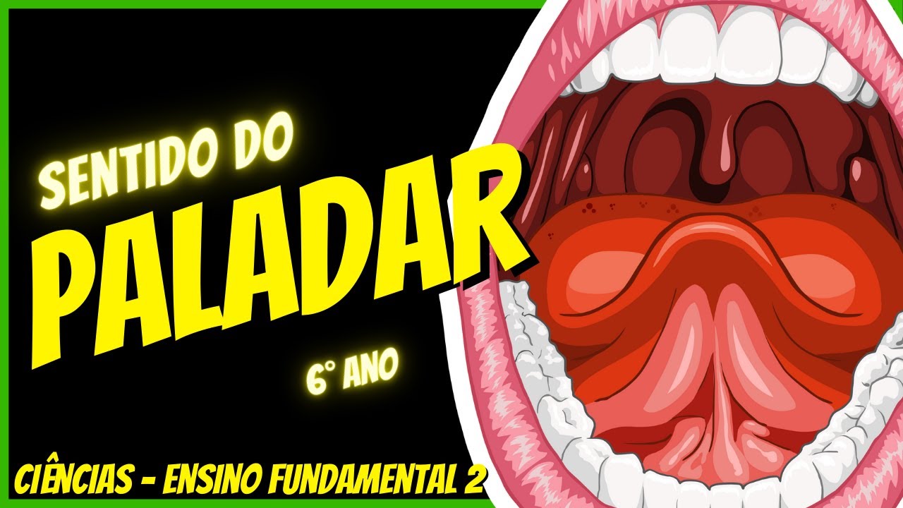 Sentido do Paladar | Cinco sentidos | Ci&ecirc;ncias - 6&deg; ano | Aula completa 2023