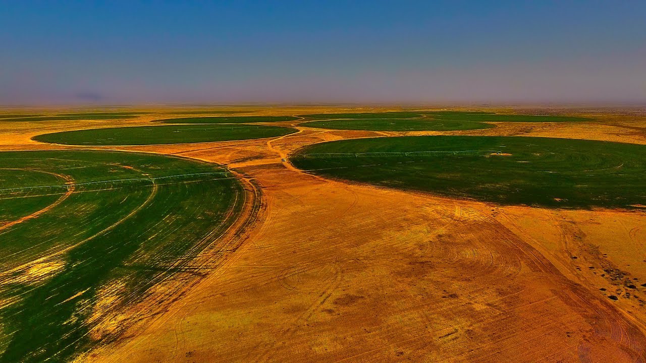 مدينة زراعية جديدة في كربلاء