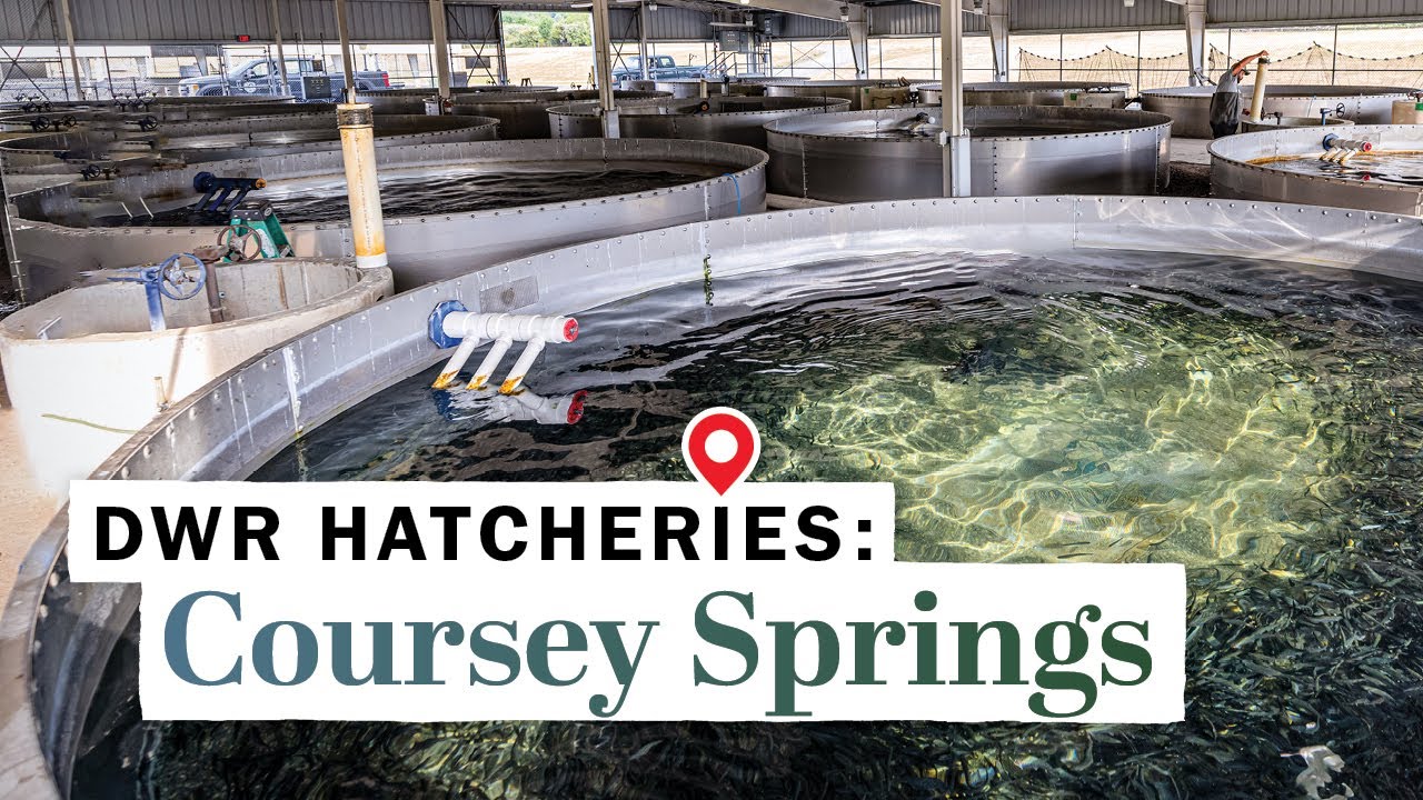 Coursey Springs Fish Hatchery