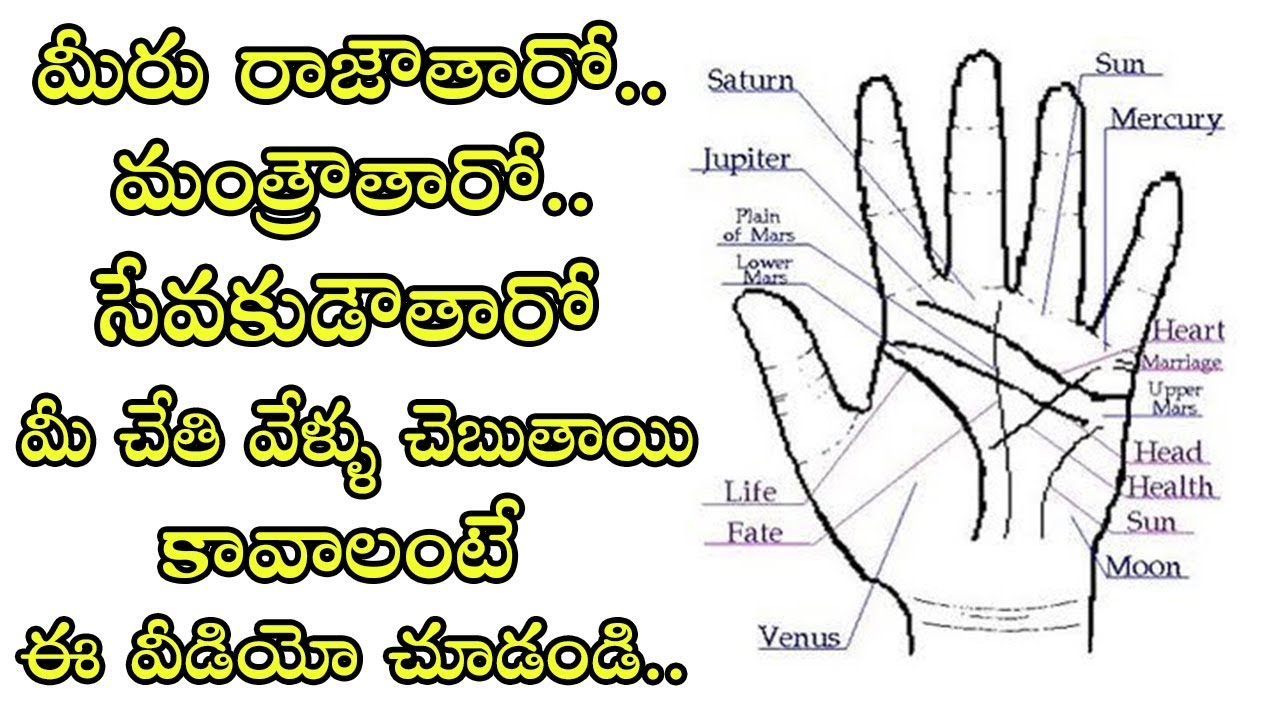 What do your fingers say about you | Dr MV Ramana Ph.D | Palmistry in fingers