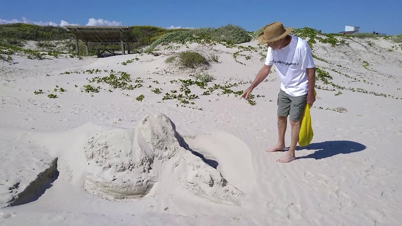 2019 Malaquite Campground on Padre Island Natl Seashore