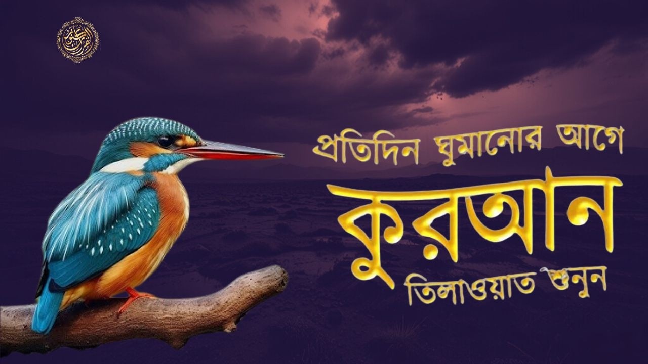 ৪ কুল এবং আয়াতুল কুরসি ┇ 4 Quls & Ayatul Qursi & 4 Surah (Be Heaven) recited by Alaa Aqel