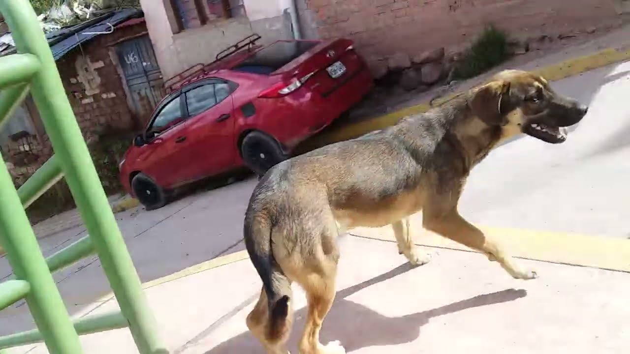 DORMii DE GRAÇA E FOI ISSO QUE ACONTECEU¡ EP 01 Raiz sem cortes #cuscoperu #peru #viralvideo #brasil