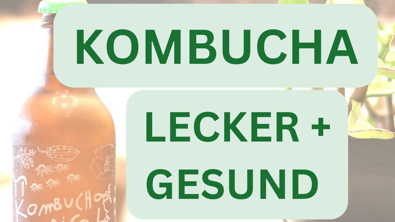 Kombucha (Teil 1) - Wirkung auf deine Gesundheit!