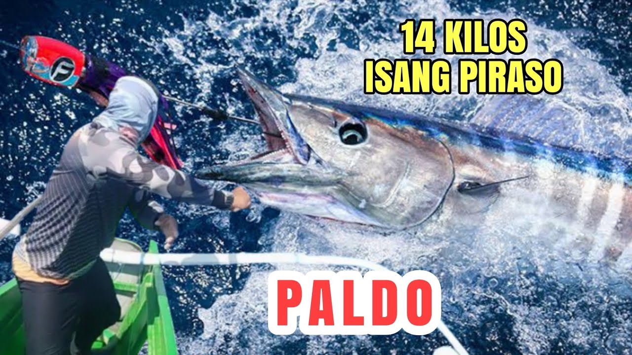 INABOT NG SWERTE PALDO | 14 KILOS ISANG PIRASO LANG | PACIFIC OCEAN 