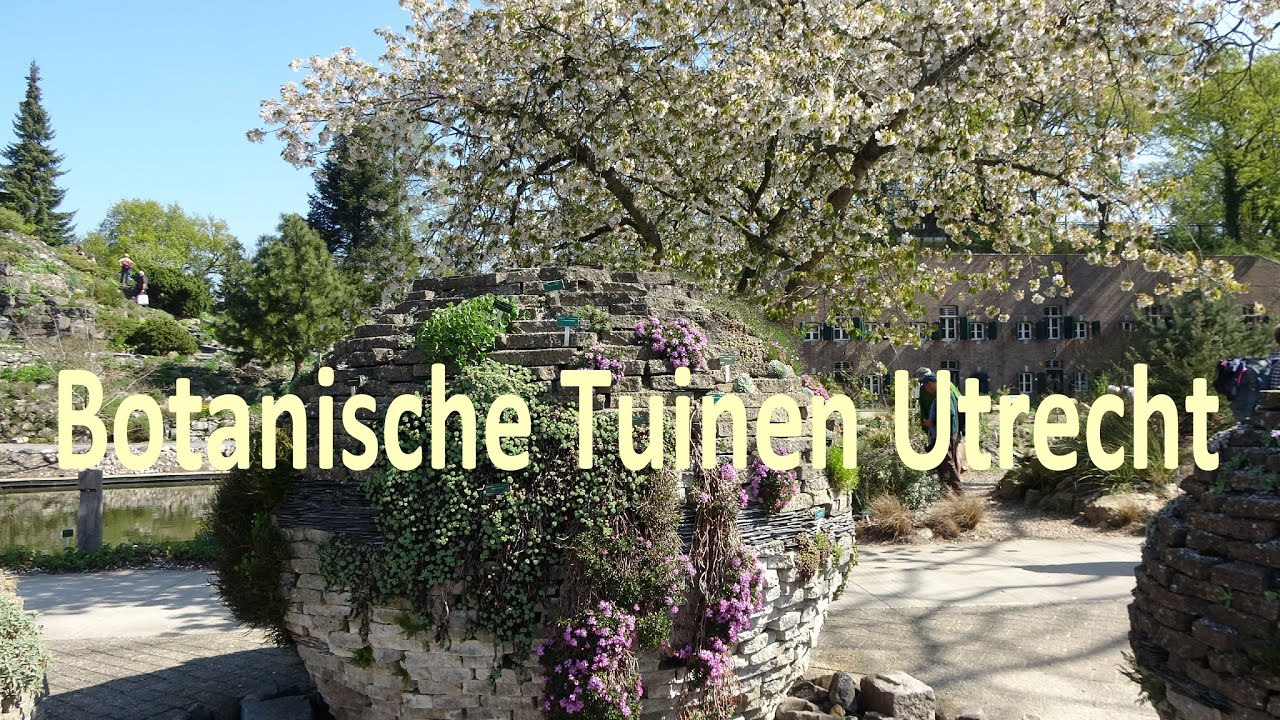 Botanische Tuinen Utrecht