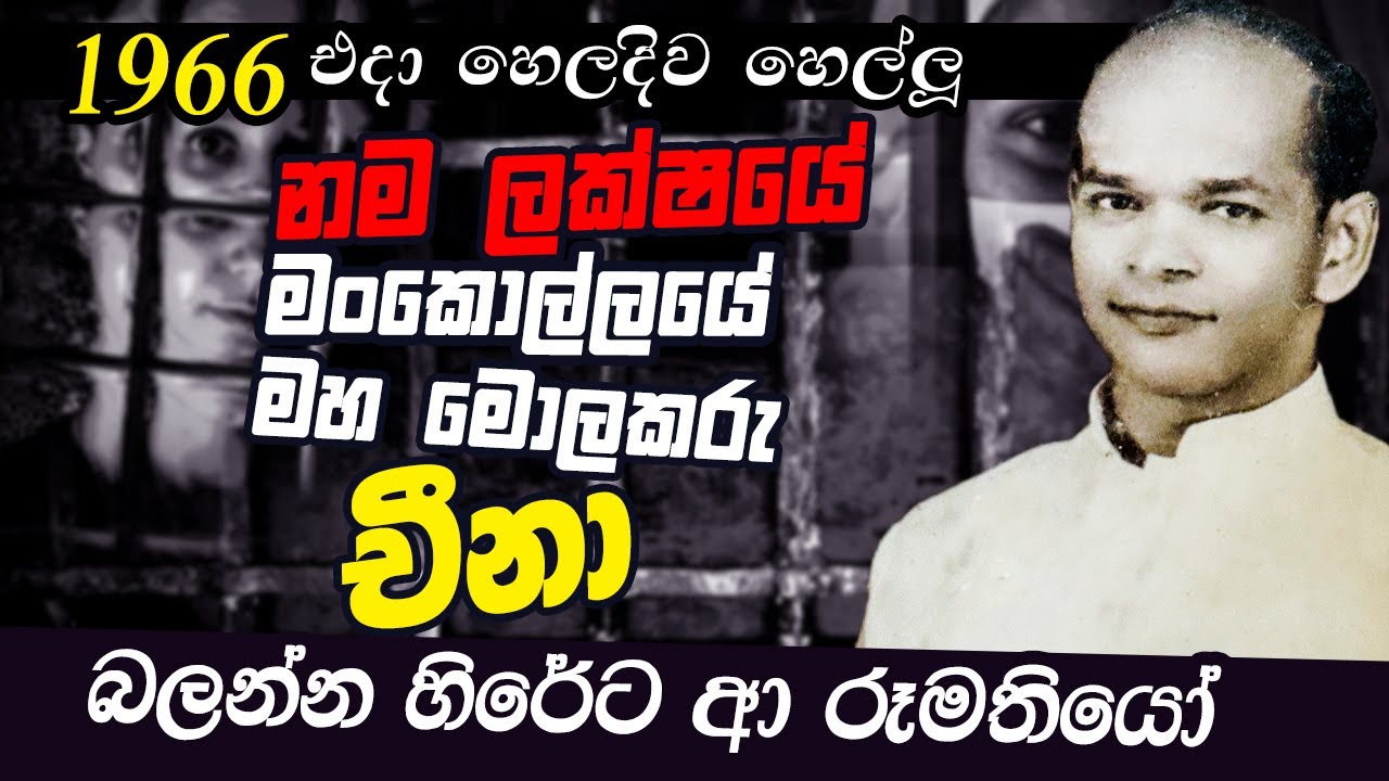 බන්ධනාගාර වලින් පැන වාර්ථාවක් තැබූ චීනා මරා දැමුවේ කවුද | WANESA TV