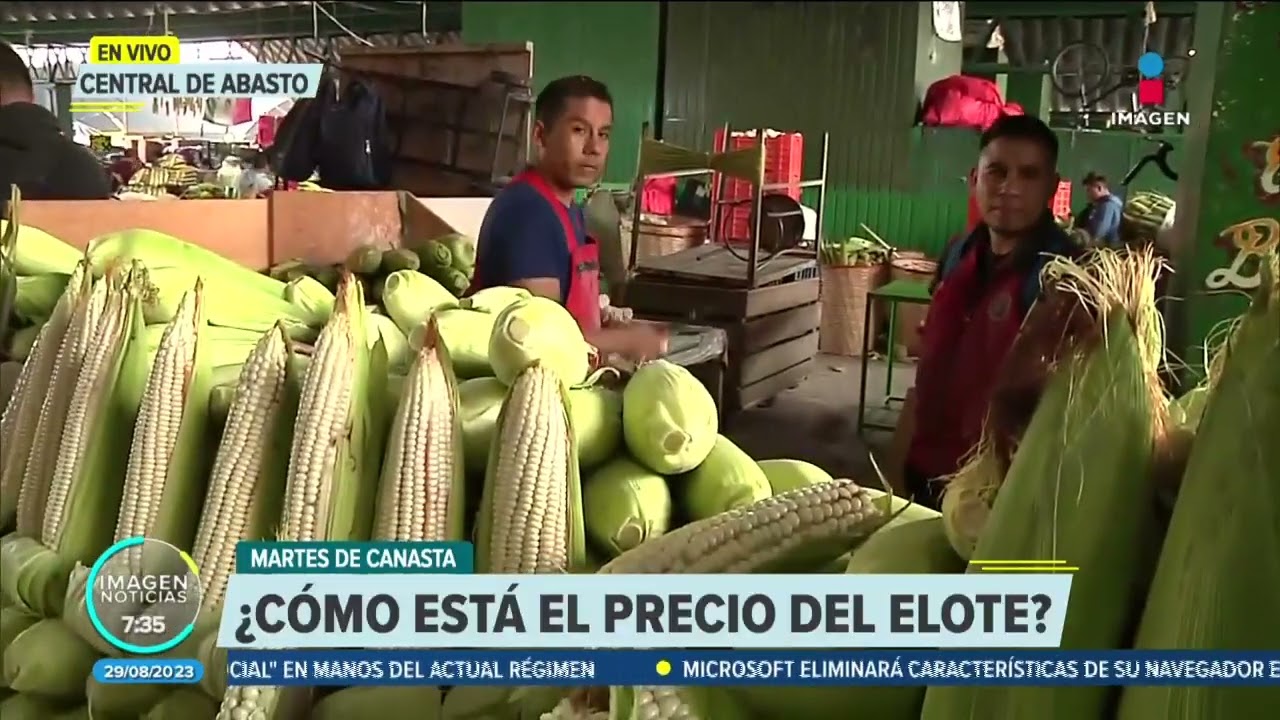 Así el precio del elote en la Central de Abasto de la CDMX | Noticias con Francisco Zea