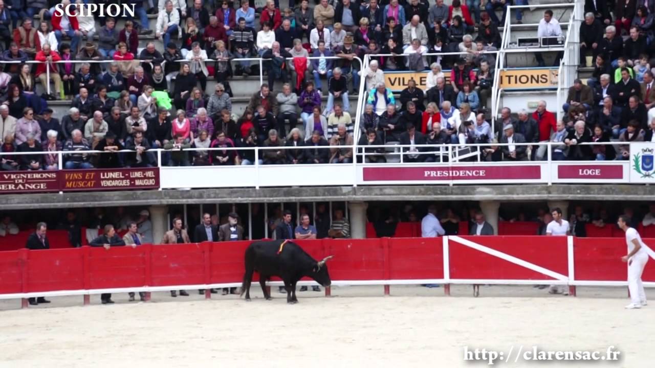 Lunel Finale Trophée Pescalune 2014 partie 6 sur 8 Scipion
