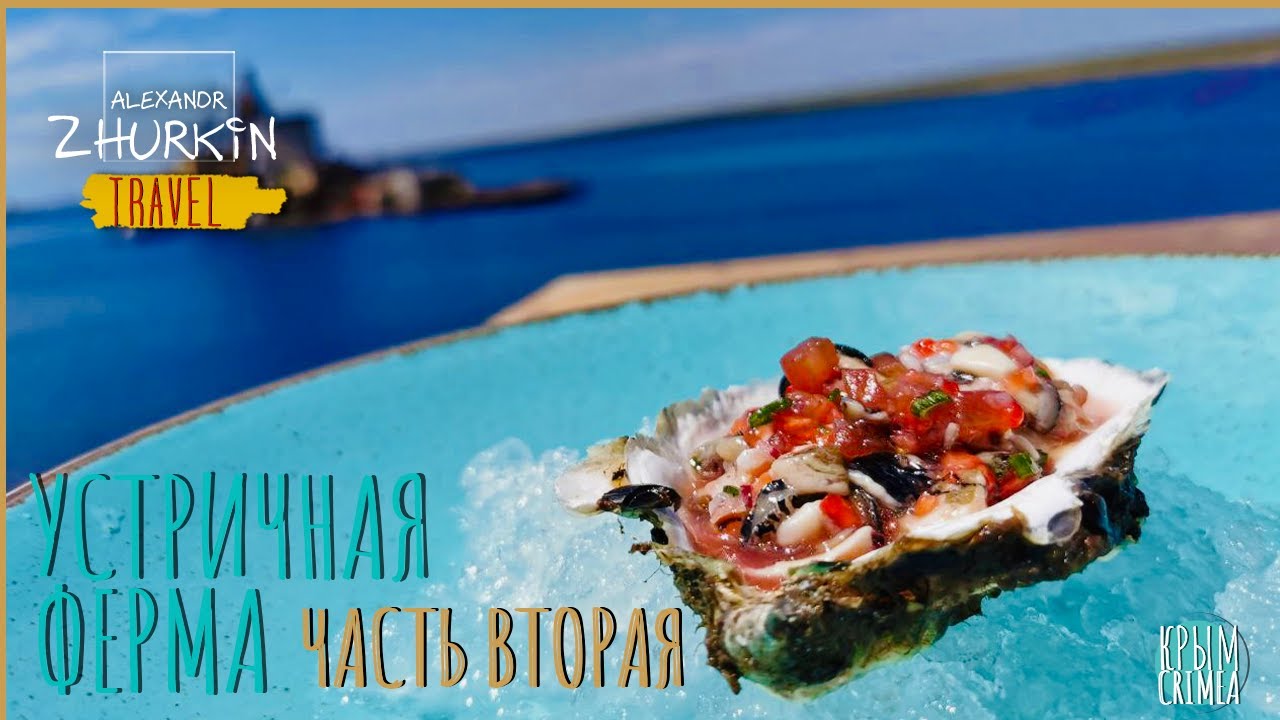 Устричная ферма в Крыму часть 2/Как правильно открыть устрицу/Тартар из устриц