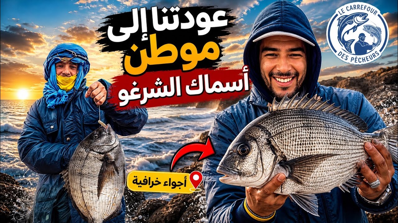 العودة الى موطن اسماك الشرغو العملاقة 🎣🐟