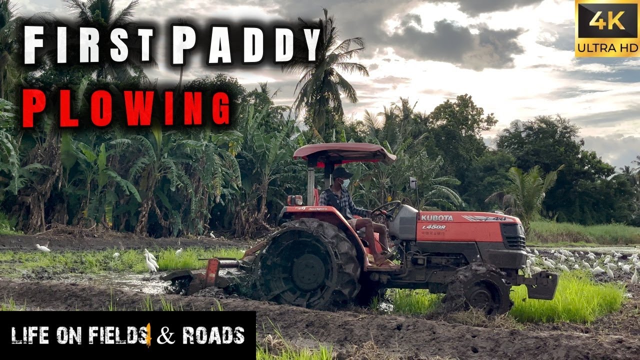 First Paddy Plowing with Kubota L4508 🌾 | Farming Life in Sri Lanka