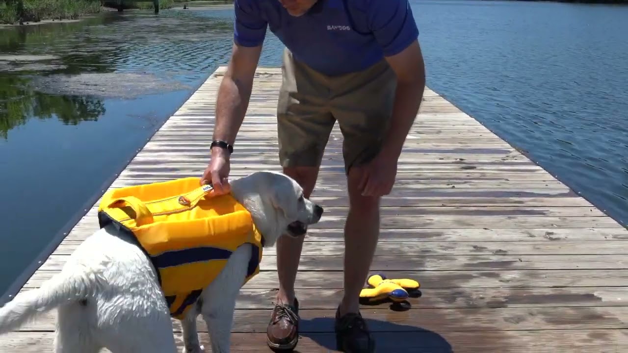BAYDOG Monterey Bay Offshore Lifejacket