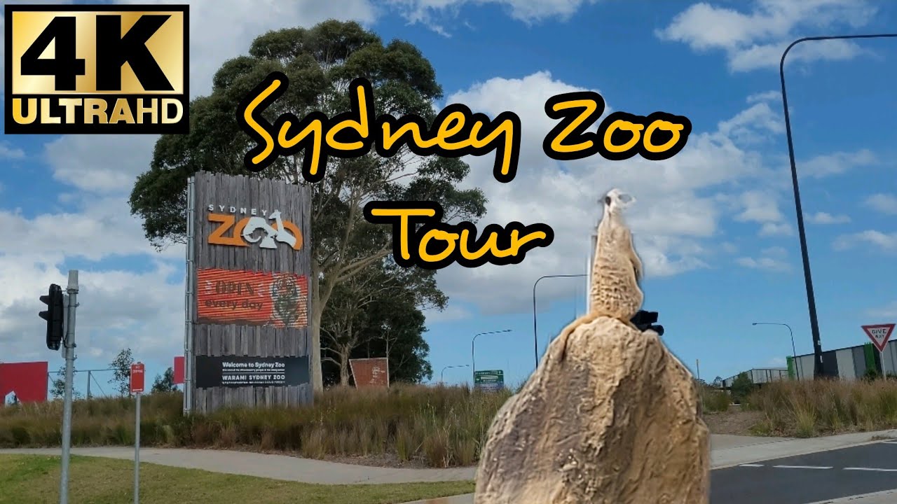 SYDNEY ZOO 2022 | 4K