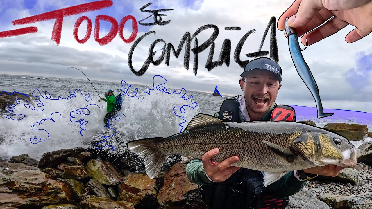 PESCA de ROBALO a SPINNING LIGERO en una AMANECIDA EXPRESS || PARECIA IMPOSIBLE PODER SACARLO