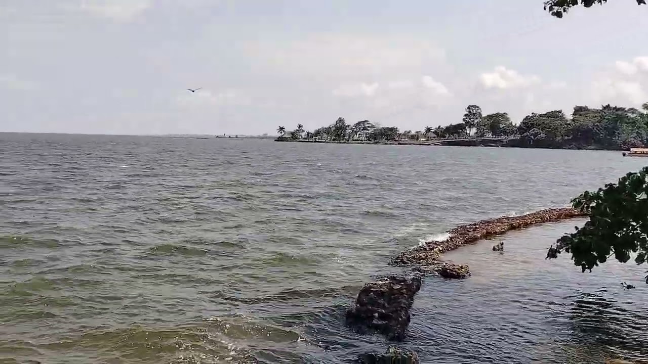 A beach view at Lake Victoria