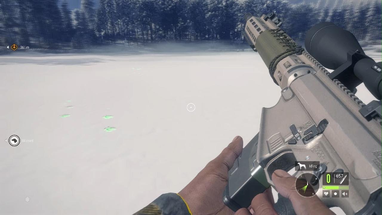 I GOT ATTACKED BY WOLVES 🥶😨😨😨😨