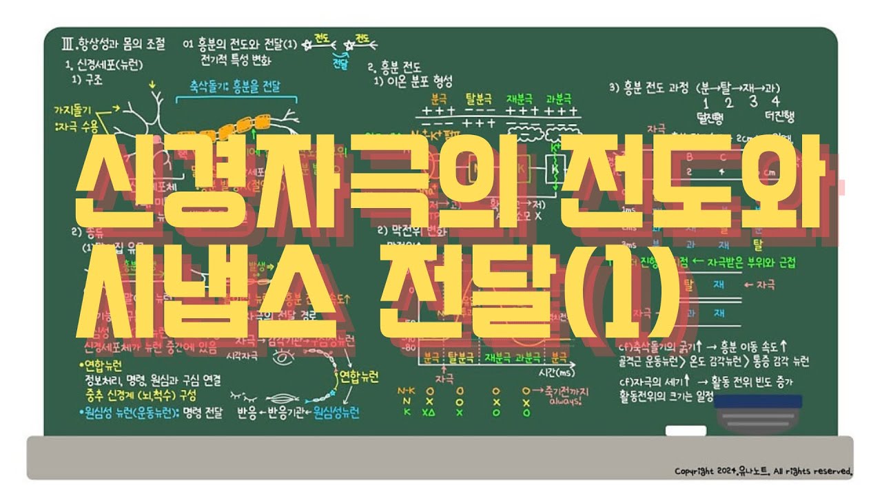 [생명과학1]3.-01.흥분의 전도와 전달(1) | 뉴런의 구조, 흥분전도 과정, 자극