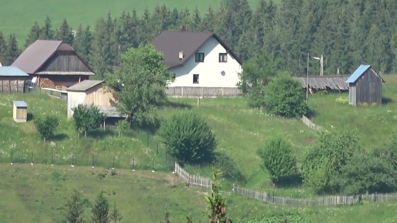 CĂTUNUL LUPCINA DIN JUDEȚUL SUCEAVA