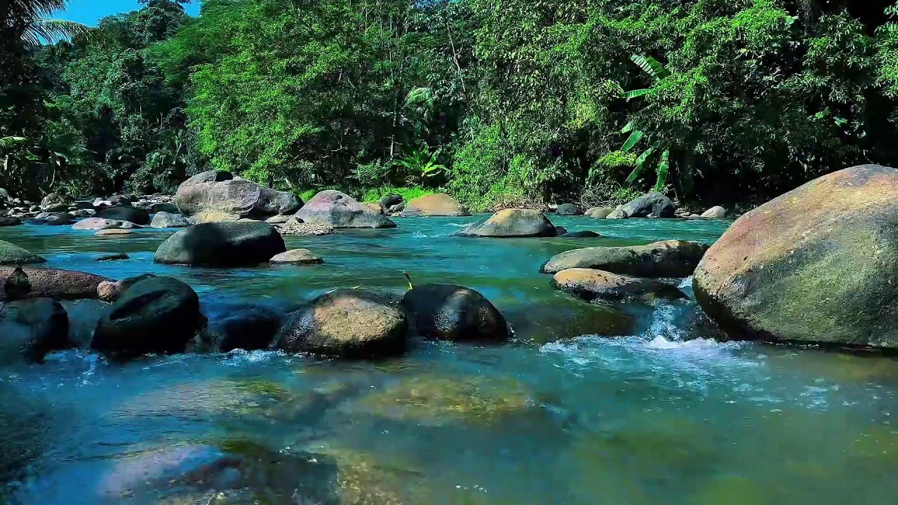 Goodbye Insomnia | Gentle River Water Sounds for Deep Sleep, Meditation & Inner Peace