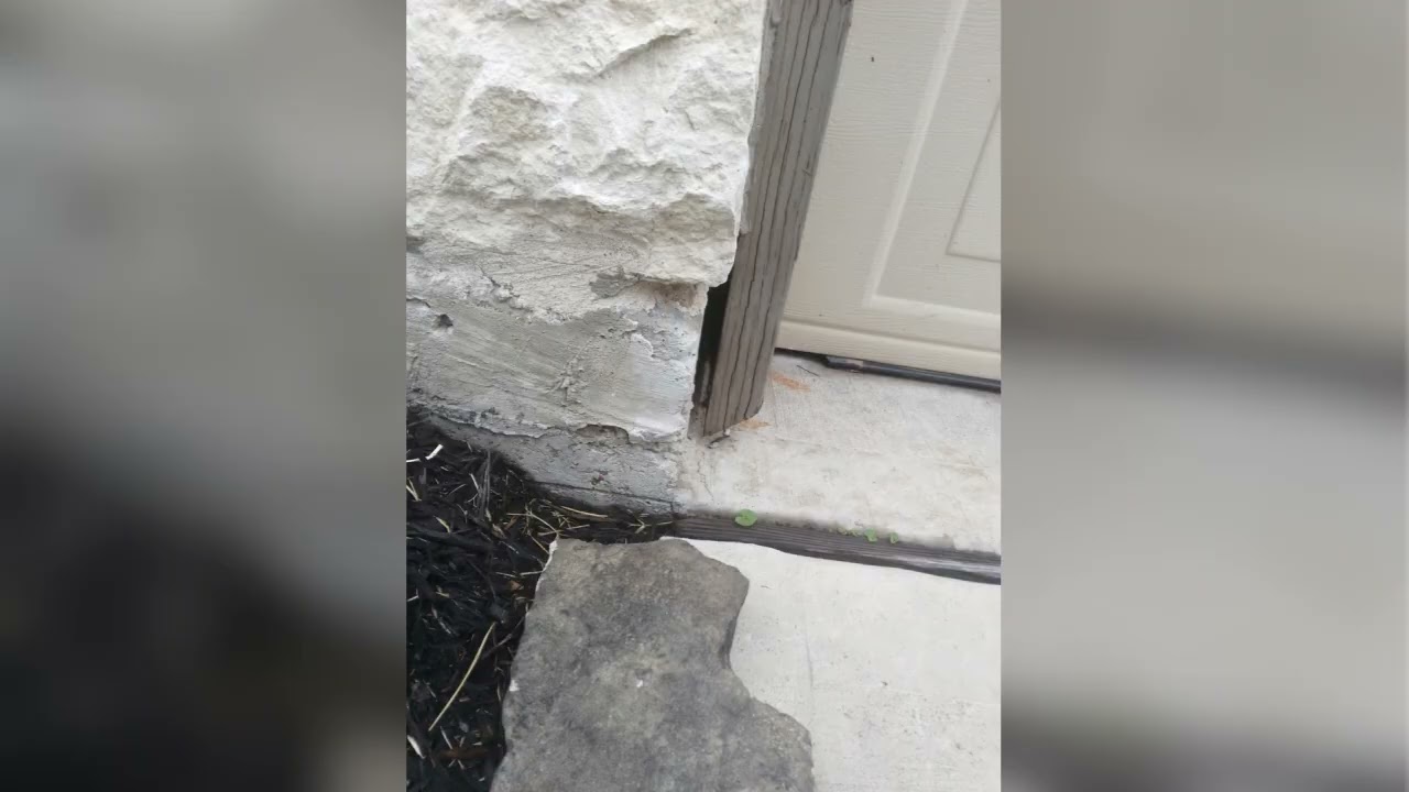 Comprehensive Pest Control & Exterminator Services in Cypress, Katy & Houston