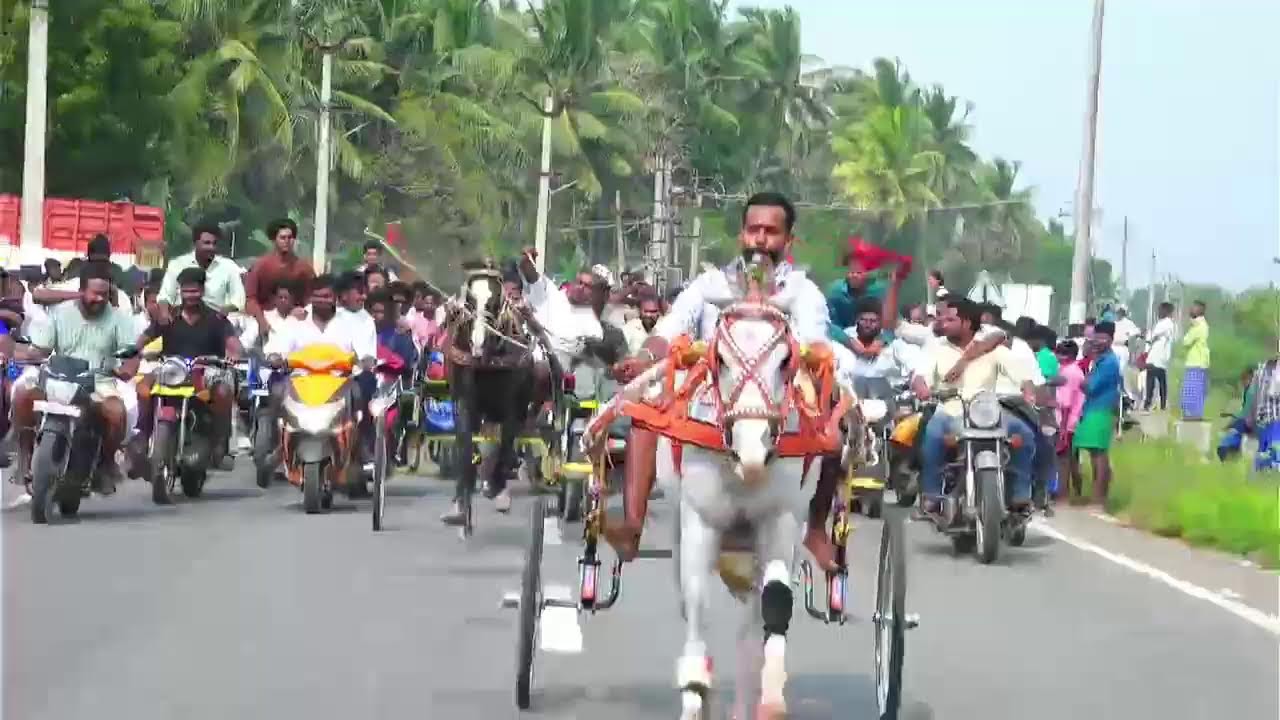 🛑பேராவூரணி பெரியகுதிரை நேரலை 27/01/2026🛑