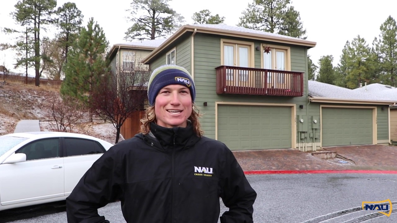 A Day in the Life - Theo Quax