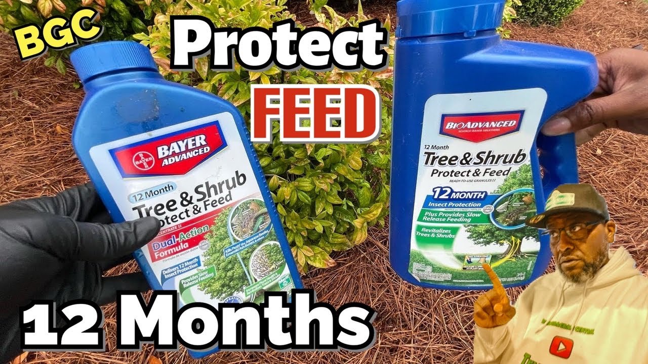 How to use BioAdvanced Tree & Shrub Protect and Feed // how to protect Landscape from bugs
