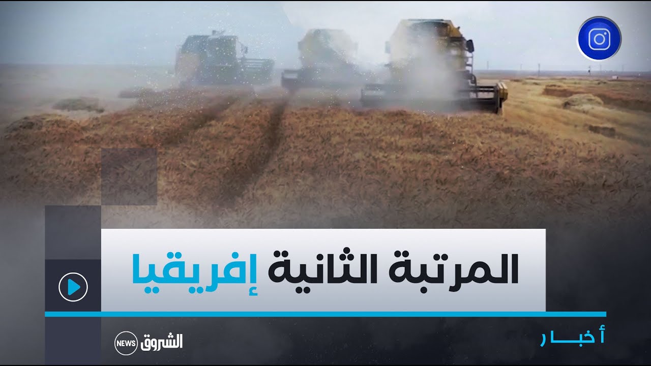 #خنشلـة| صحـراء النمامشـة تضفـر بالمرتبـة الثانيـة إفريقيا فـي #إنتـاج_الفلاحـي
