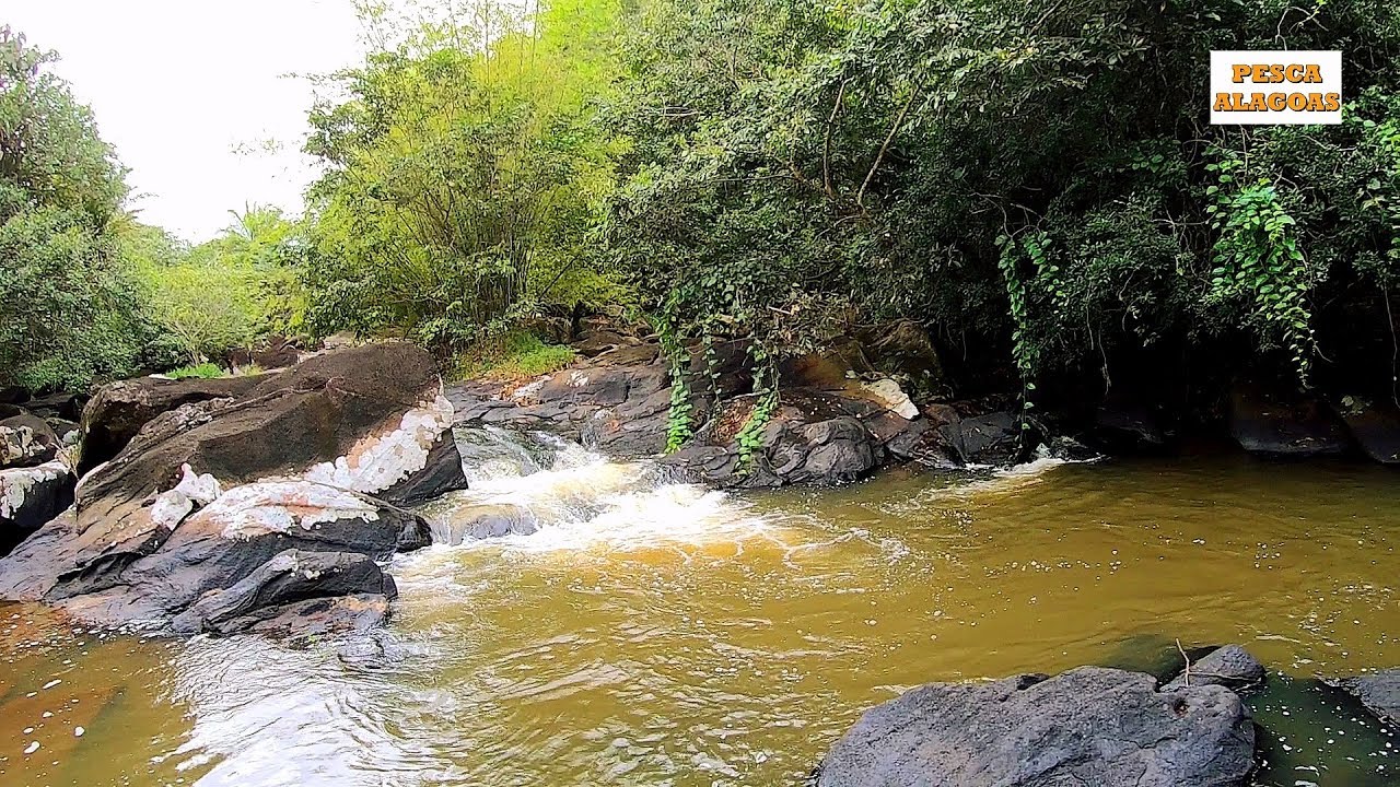 Esse lugar foi uma surpresa. Rio cheio de peixes. Pescaria Caipira