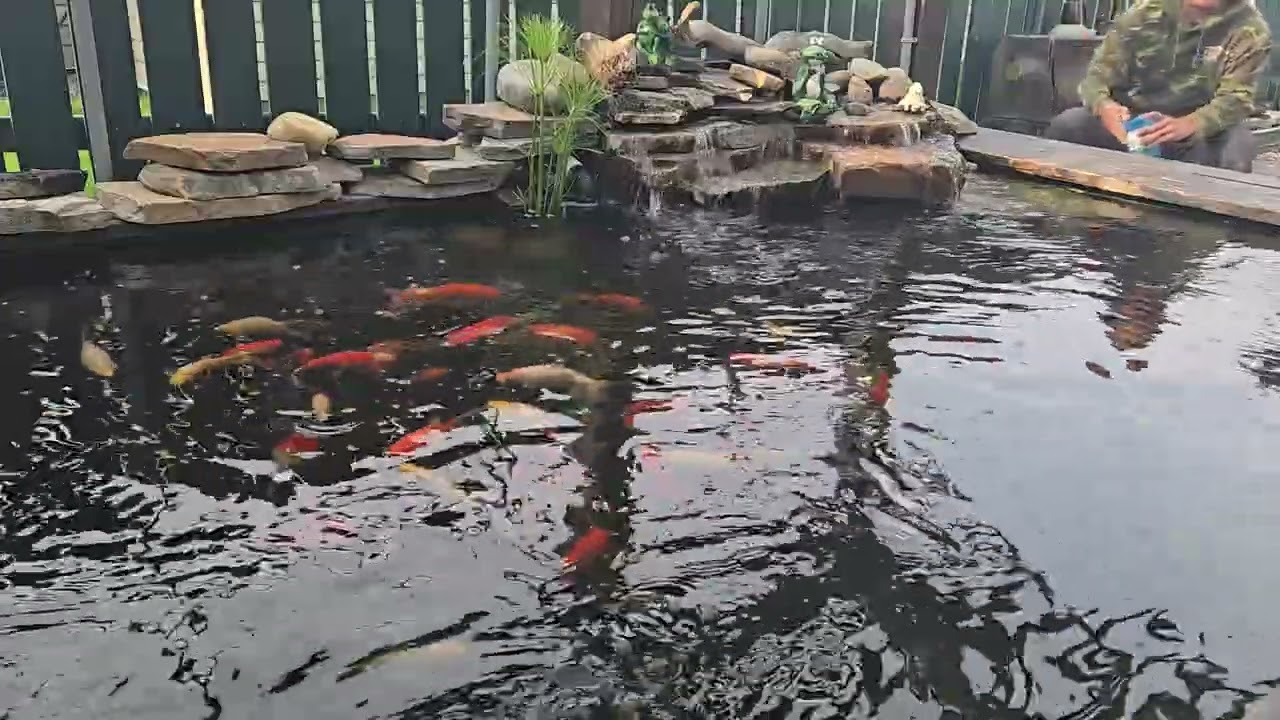@fishkeeping