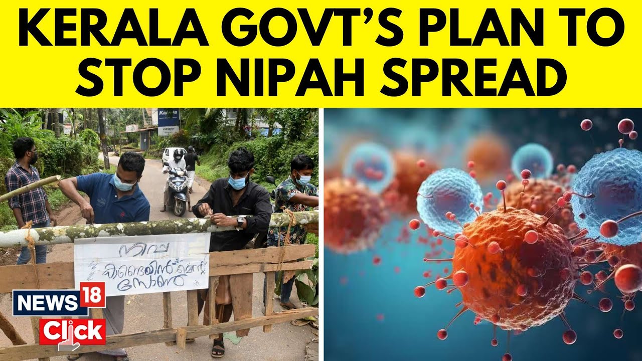 Nipah Virus Outbreak In Kerala | Health Minister On Kerala&rsquo;s Fight Against Virus | English News N18V