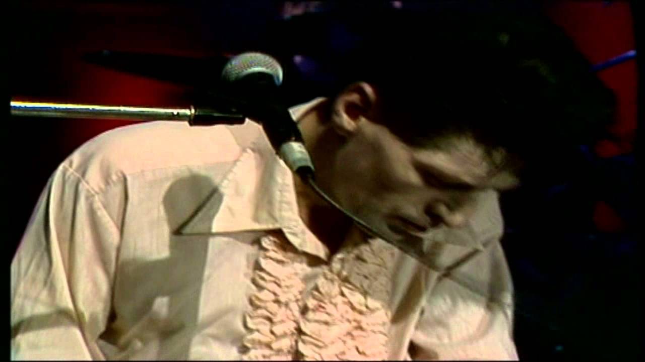 Herman Brood (Rockpalast 1990) [18]. Hit