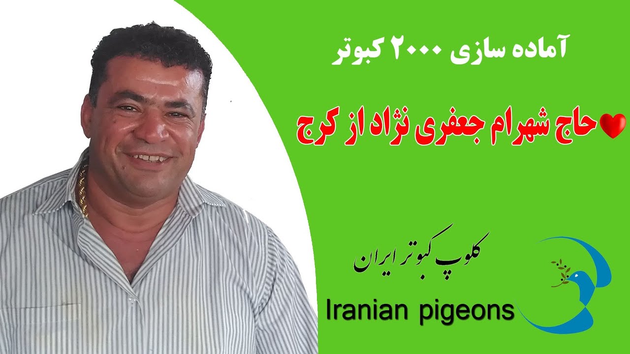 ❤️کلیپ کامل قدیمی از آماده سازی 2000 کبوتر آقای شهرام جعفری نژاد از کرج iranian high flyers pigeon