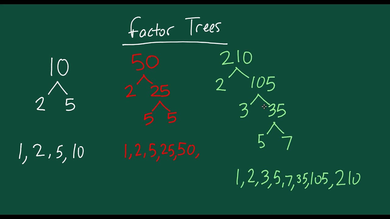 How to Make a Factor Tree - Example 1