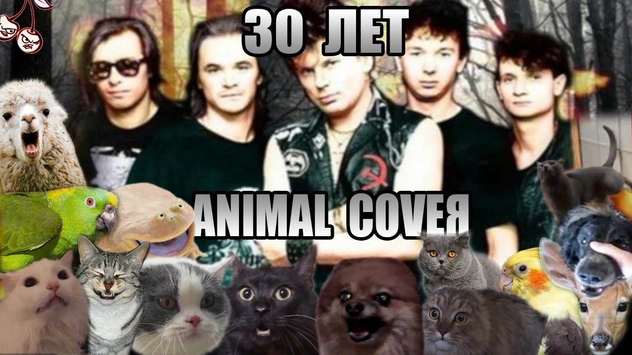 Сектор Газа - 30 лет (Animal Cover)