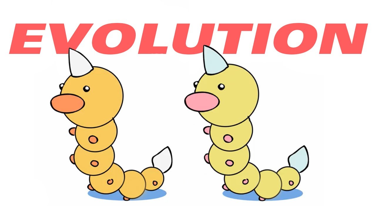 Weedle Evolution, Normal and Shiny Pokemon Transformation Animation   Kakuna Beedrill