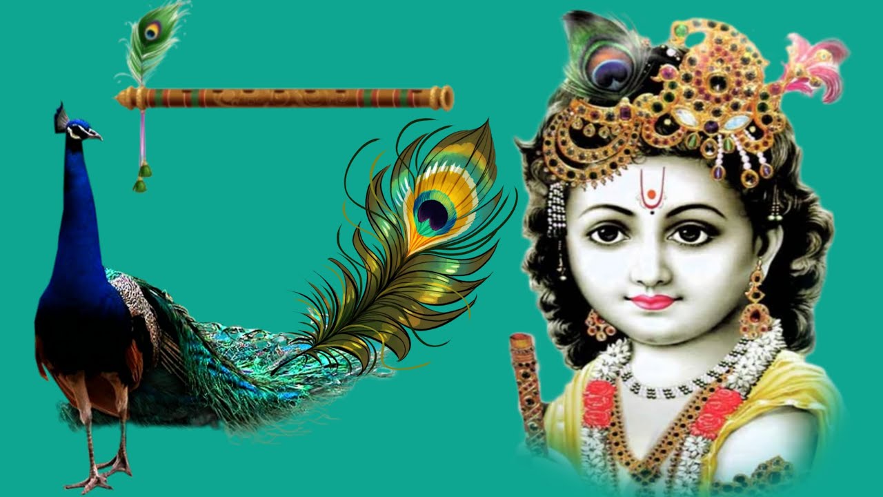 🛑Live विशाल राम सट्टा प्रतियोगिता गोरखपुर