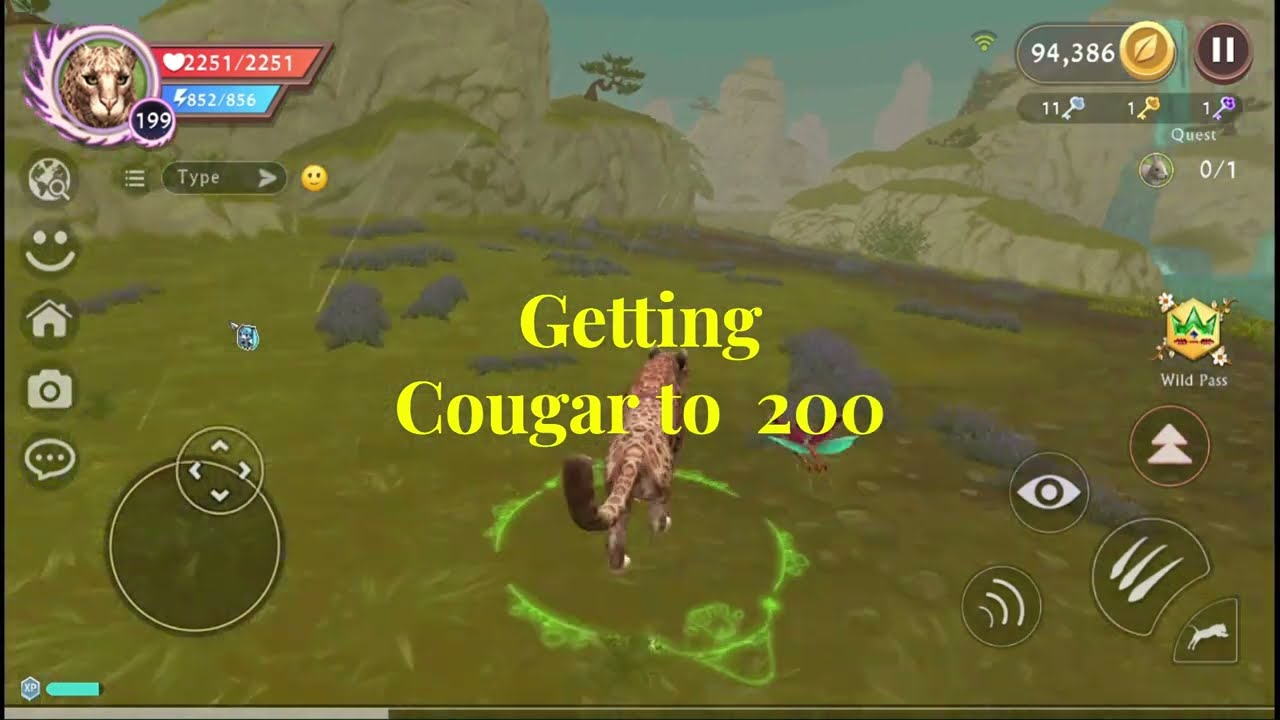 Getting Cougar to 200