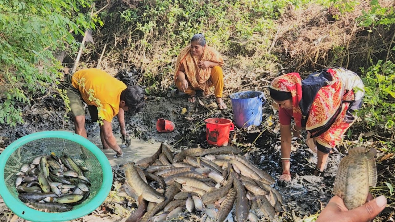 অল্প জায়গায় এত মাছ কল্পনার বাইরে 🐟🐟 মাছ দেখে অবাক হয়ে গেলাম ? Village Fishing Vlog | Village Vloger