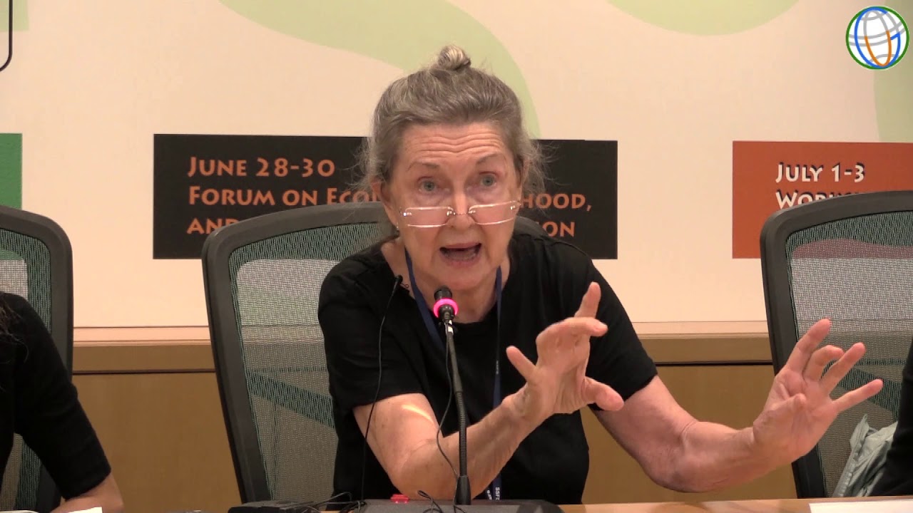 SSFS6 Day 1 Feminist-Humanitarian Reframing of Global Security Activism - Discussions
