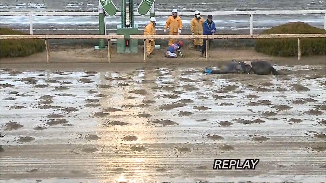 2015/01/15 園田競馬8R 落馬事故