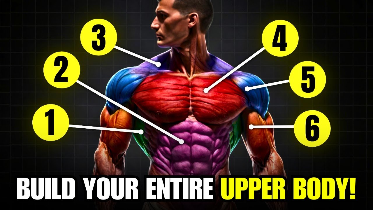 6 Exercises For an Extremely Aesthetic Upper Body: Blow up Arms, Chest, Back and Shoulders