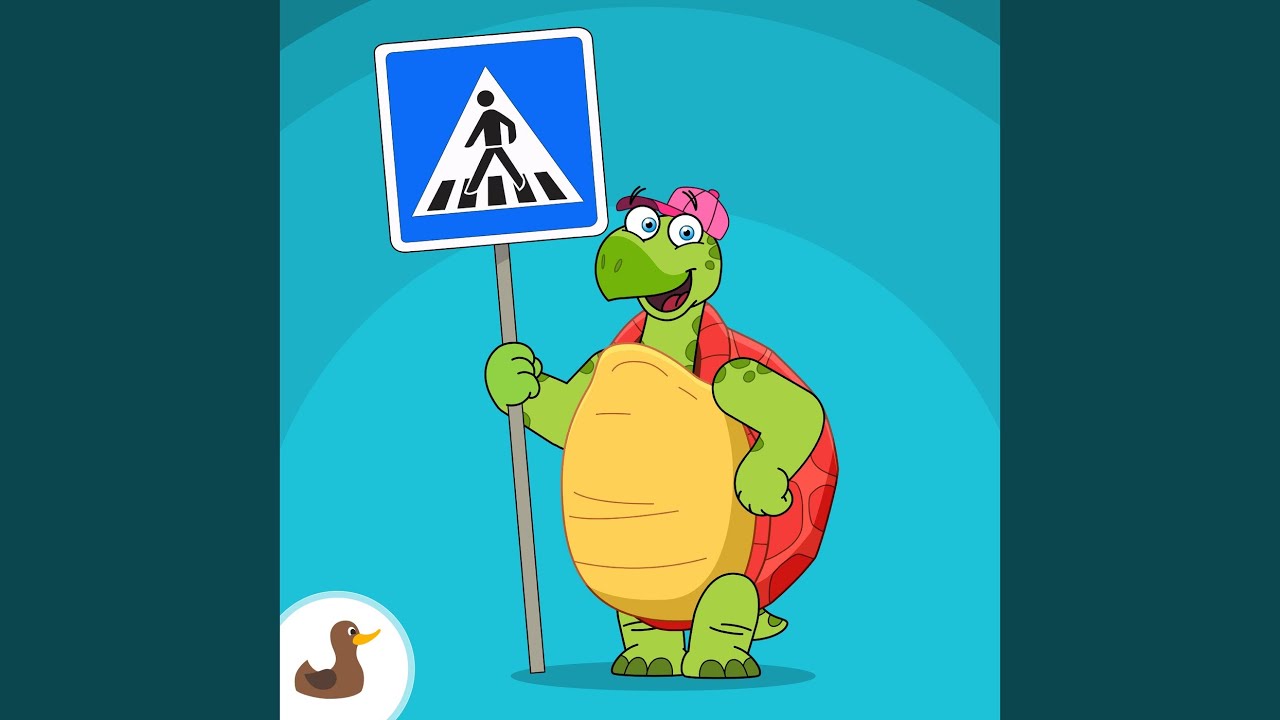 Verkehrsschildkr&ouml;ten