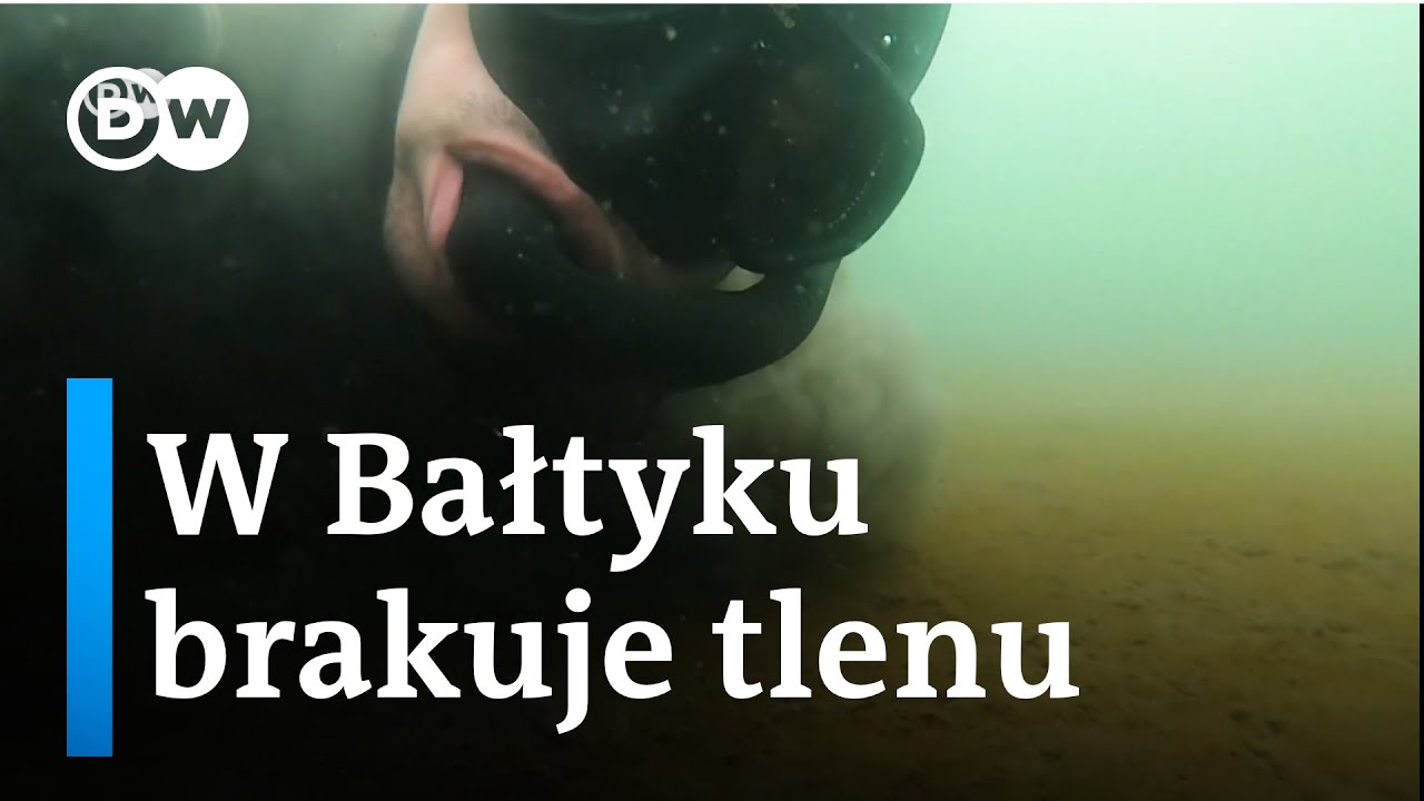 W Bałtyku  brakuje tlenu
