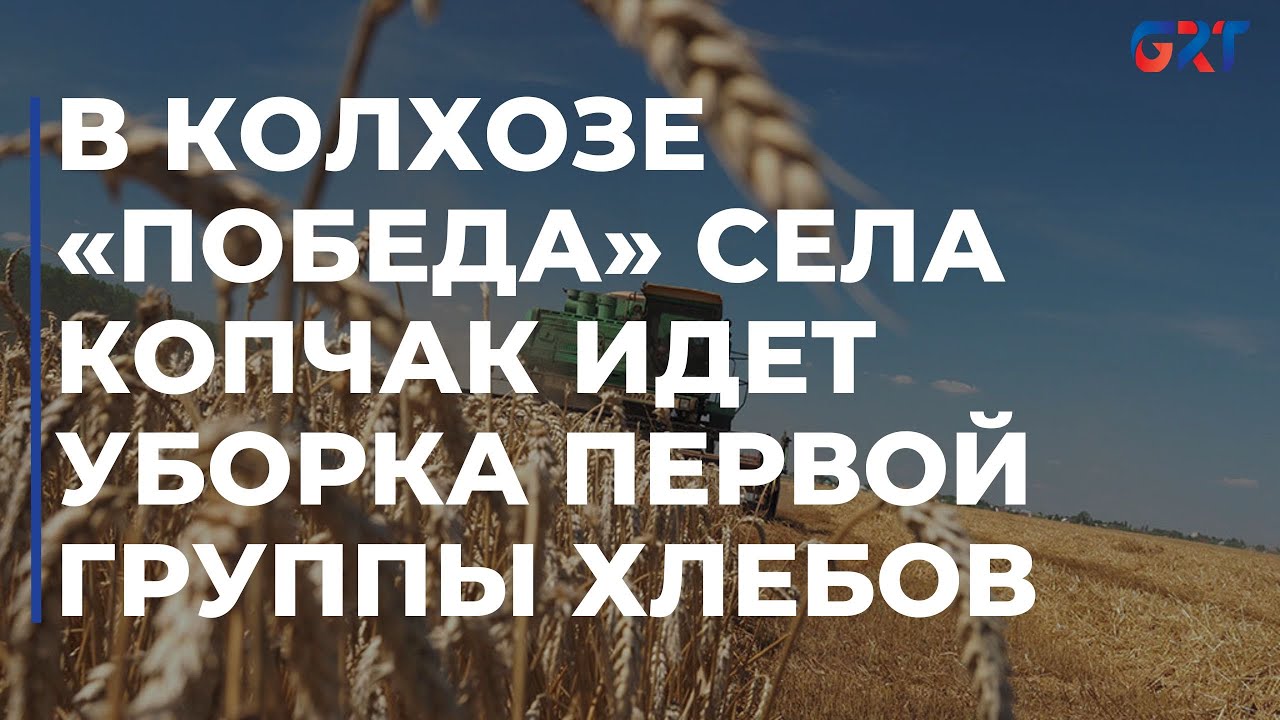 В Колхозе «Победа» села Копчак идет уборка первой группы хлебов