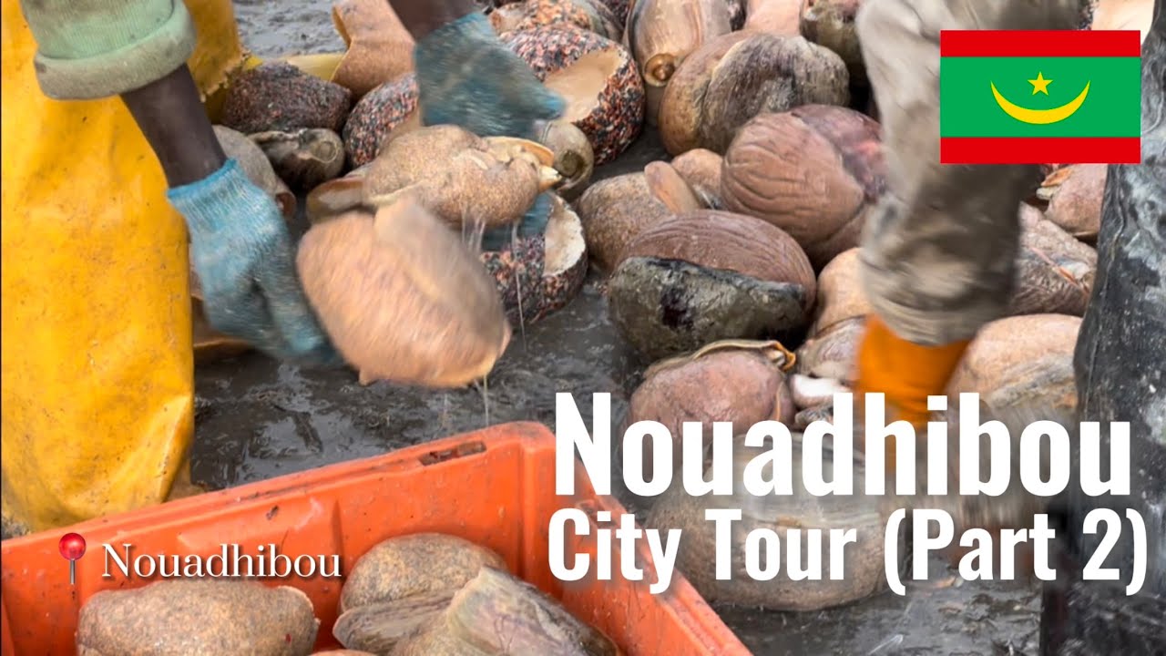 🇲🇷The Nouadhibou You've Never Seen (Part 2): Discovering the Second largest Mauritanian City!
